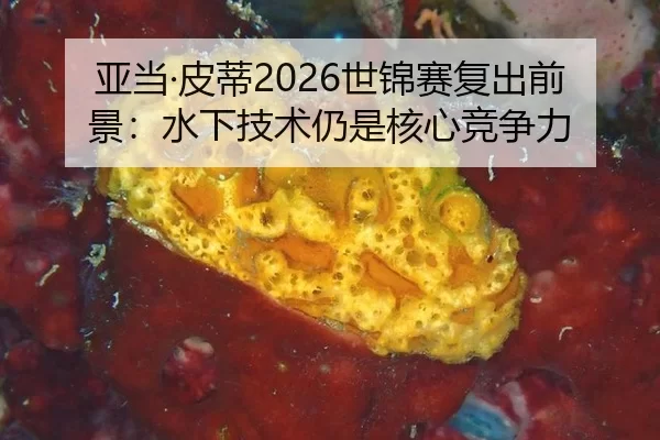 ya-dang-pi-di-shi-jin-sai-fu-chu-qian-jing-shui-xia-ji-shu-reng-shi-he-xin-jing-zheng-li-2-119.jpg